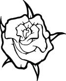 Rose Sticker 208