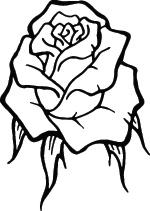 Rose Sticker 213