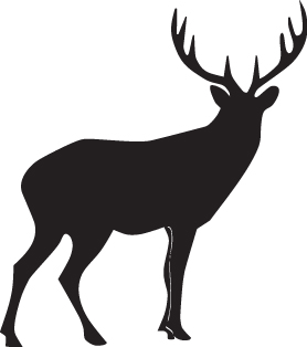 Buck Sticker 38