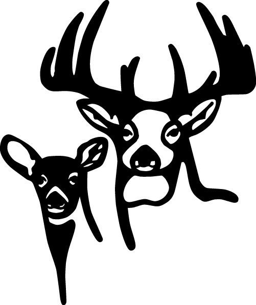 Buck and Doe Sticker 3