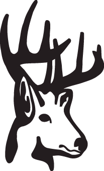 Buck Sticker 62