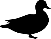 Duck Sticker 74