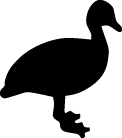 Duck Sticker 79