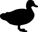 Duck Sticker 81