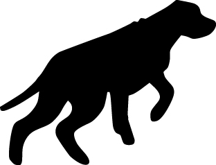 Pointer Dog Sticker 23