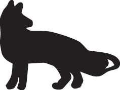 Fox Sticker