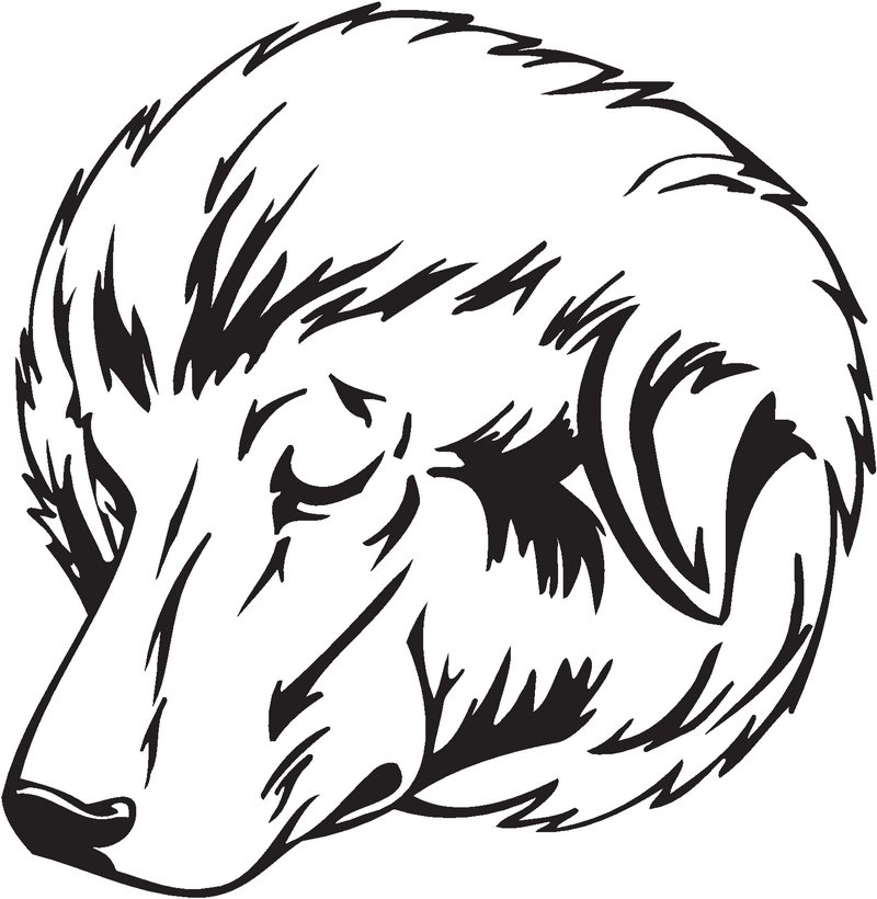 Bakharwal Dog Sticker