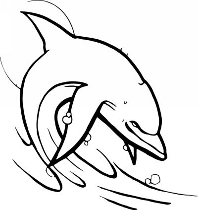 Dolphin Sticker 365