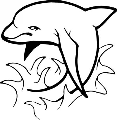 Dolphin Sticker 421