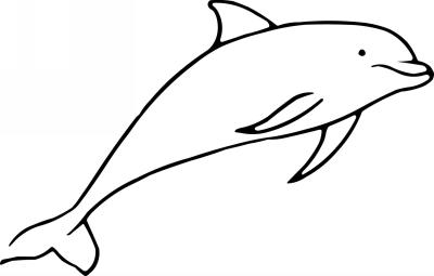 Dolphin Sticker 424