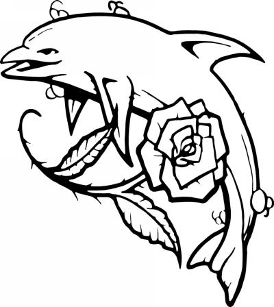 Dolphin Sticker 456