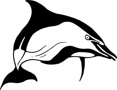 Dolphin Sticker 5