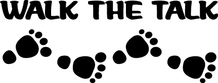 Walk the Talk Sticker 4207