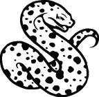 Snake Sticker 302