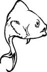 Fish Sticker 210