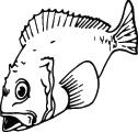 Fish Sticker 306