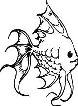 Fish Sticker 419