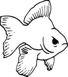 Fish Sticker 428