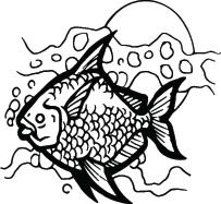 Fish Sticker 475