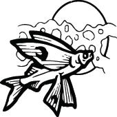 Fish Sticker 480