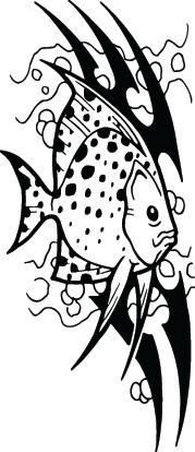 Fish Sticker 600