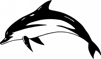 Dolphin Sticker 209