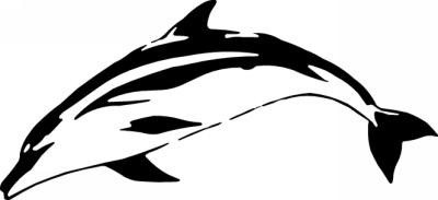 Dolphin Sticker 227