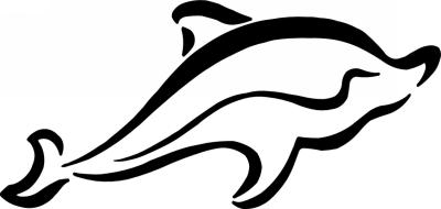 Dolphin Sticker 249