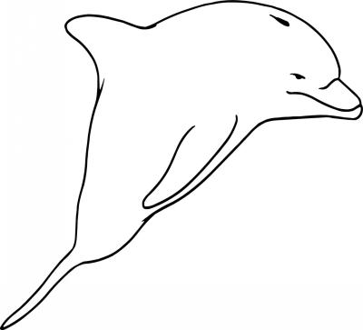 Dolphin Sticker 255