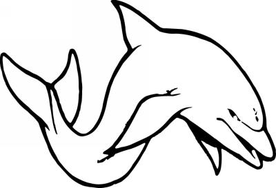 Dolphin Sticker 262