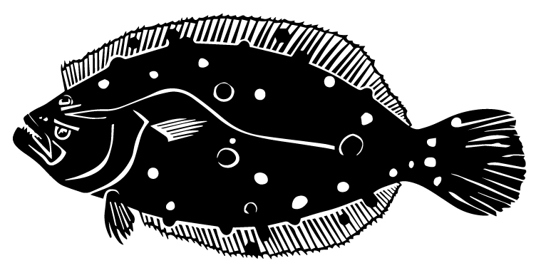 Summer Flounder Sticker