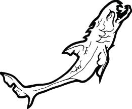 Shark Sticker 206