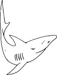 Shark Sticker 209