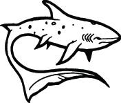 Shark Sticker 246