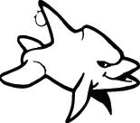 Shark Sticker 252