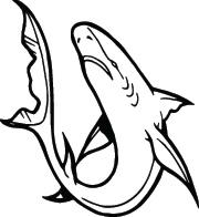 Shark Sticker 254