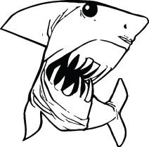 Shark Sticker 270