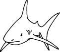 Shark Sticker 280