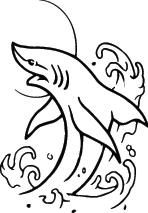 Shark Sticker 289