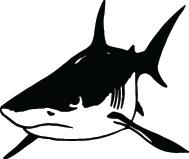 Shark Sticker 295