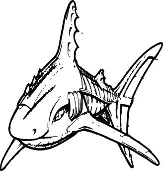 Shark Sticker 296