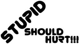 Stupid Should Hurt Sticker