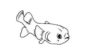 Fish Sticker 356