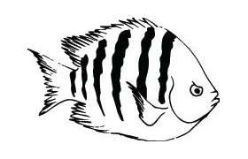 Fish Sticker 191