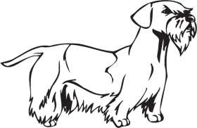 Cesky Terrier Dog Sticker