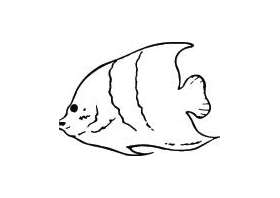 Fish Sticker 474