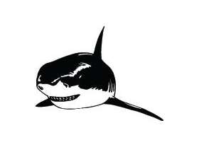 Shark Sticker 225