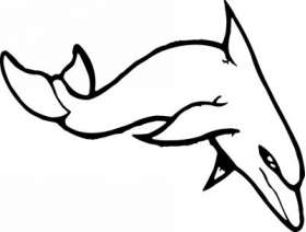 Dolphin Sticker 265