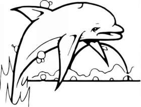 Dolphin Sticker 441