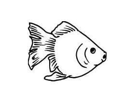 Fish Sticker 277